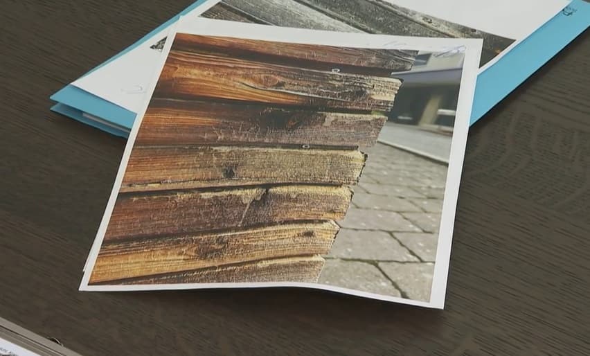 Picture shows the evidence preented against Leo, a British Shorthair cat, undated. He scratched the neighbor's wooden exterior wall and his family was sued for the damages. Note: Photo is a screenshot from video. (Newsflash/NX)